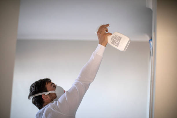 Best Commercial Mold Removal  in Orange Blossom, CA