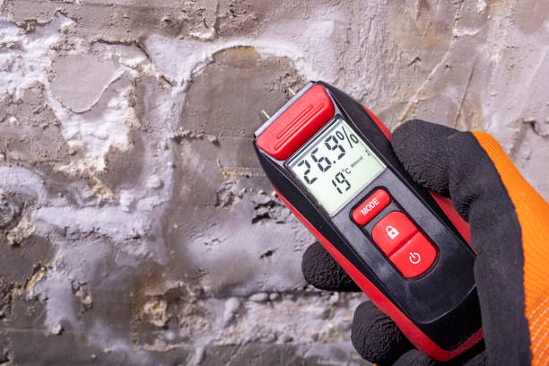 Best Attic Mold Removal  in Orange Blossom, CA