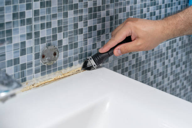 Best Mold Removal Near Me  in Orange Blossom, CA