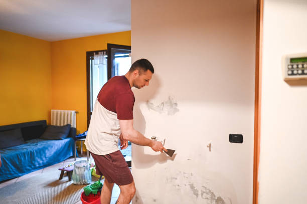 Best Mold Remediation  in Orange Blossom, CA